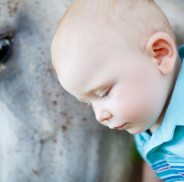 © 2011 Birch Blaze Studios