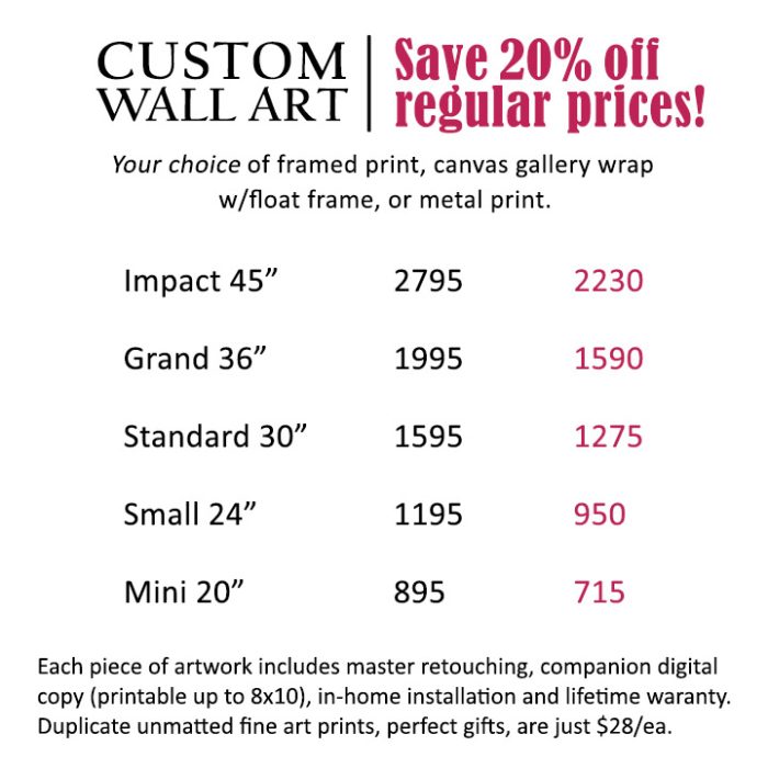Birch Blaze Studios' custom wall art graphic.