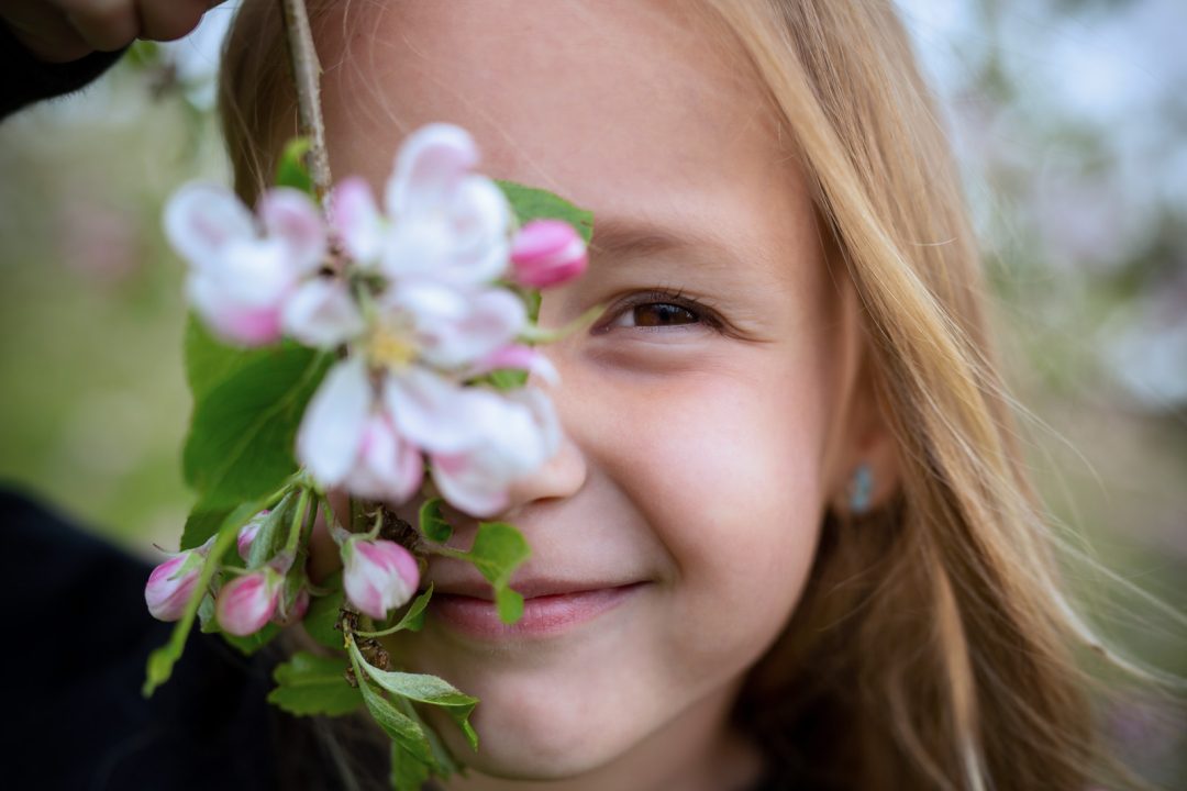 Apple blossom portraits at Devylder Farm (in Wolfeboro, NH) with Birch Blaze Studios!