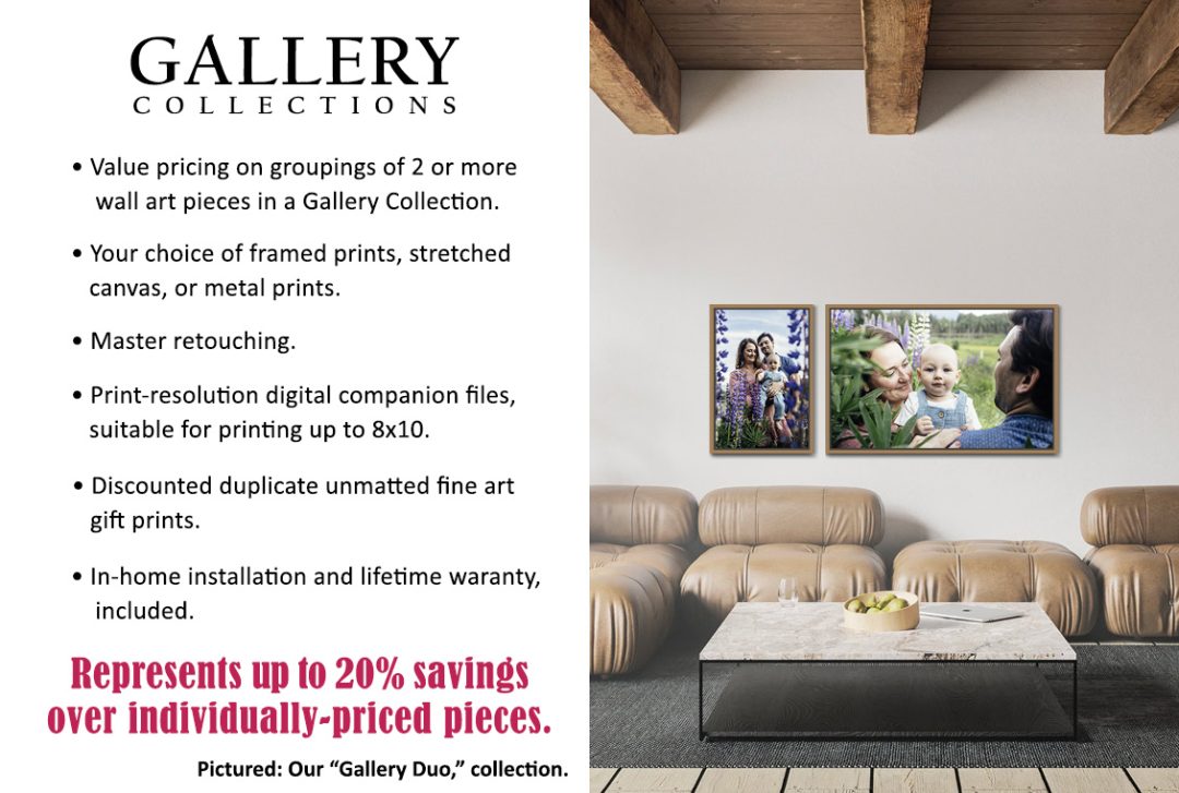Birch Blaze Studios Gallery Collections wall art info.